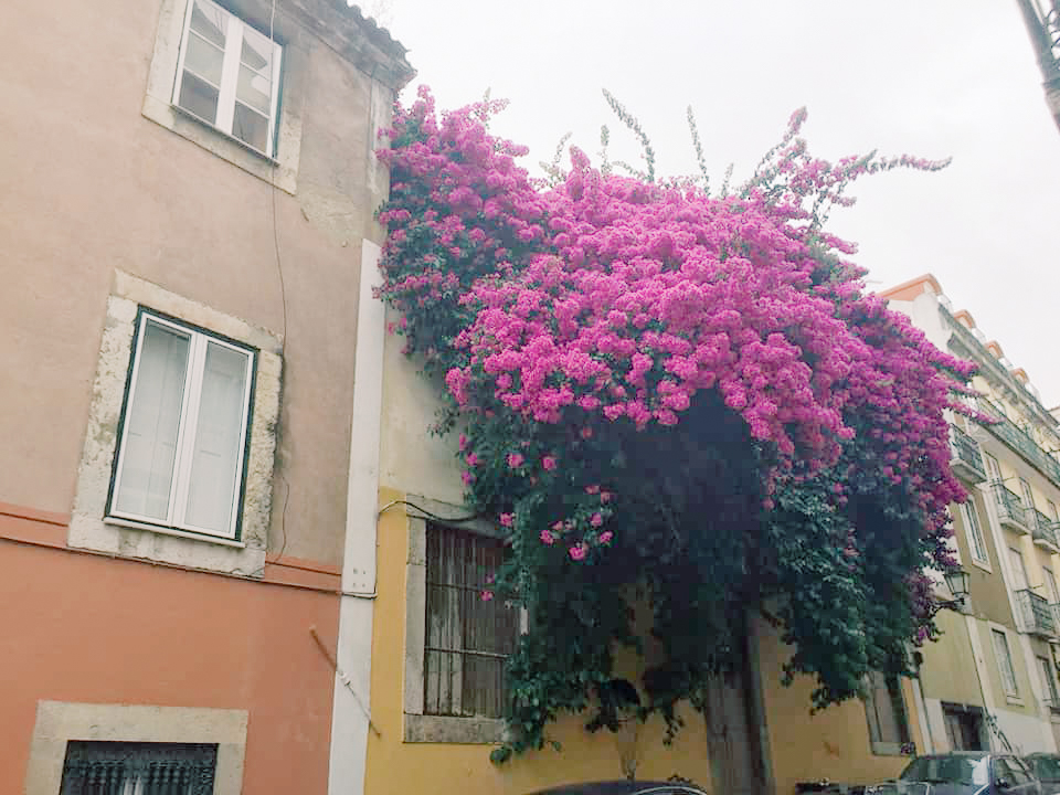 Lisbon, Portugal