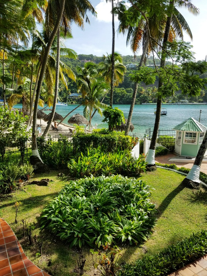 Palm trees and blue water outside of a hotel in St Lucia