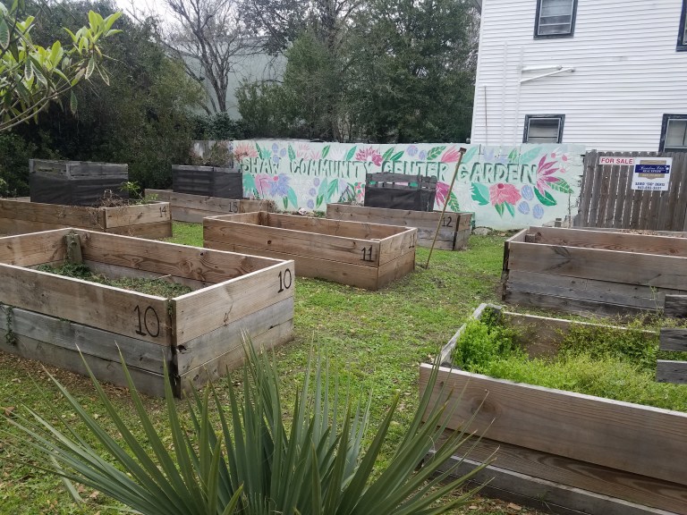 Several rows of garden planters in a community garden