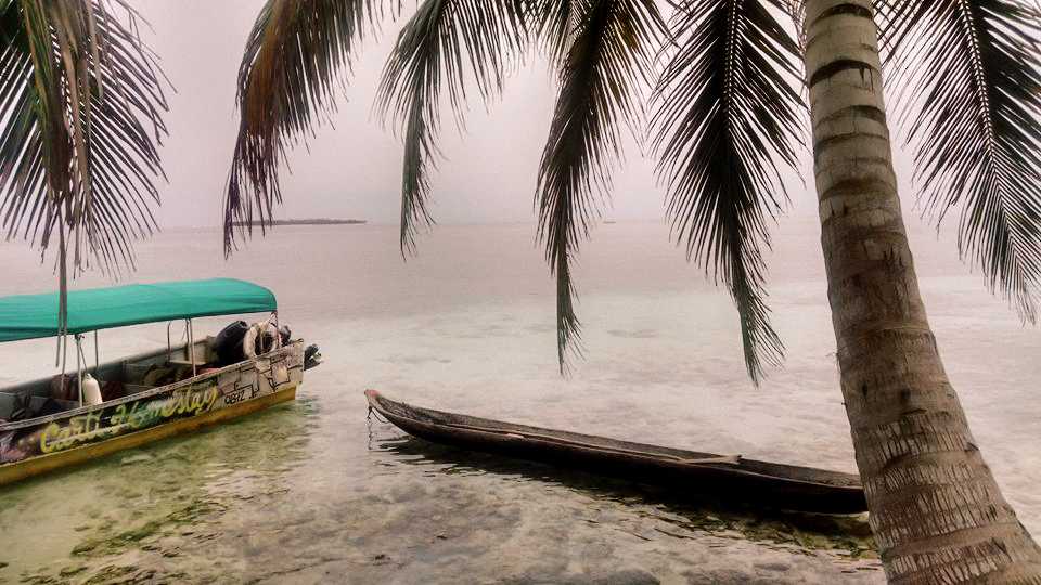 Two boats in the water, palm trees in the foreground