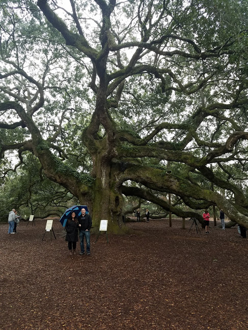 The Angel Oak Tree is a Charleston must-see.